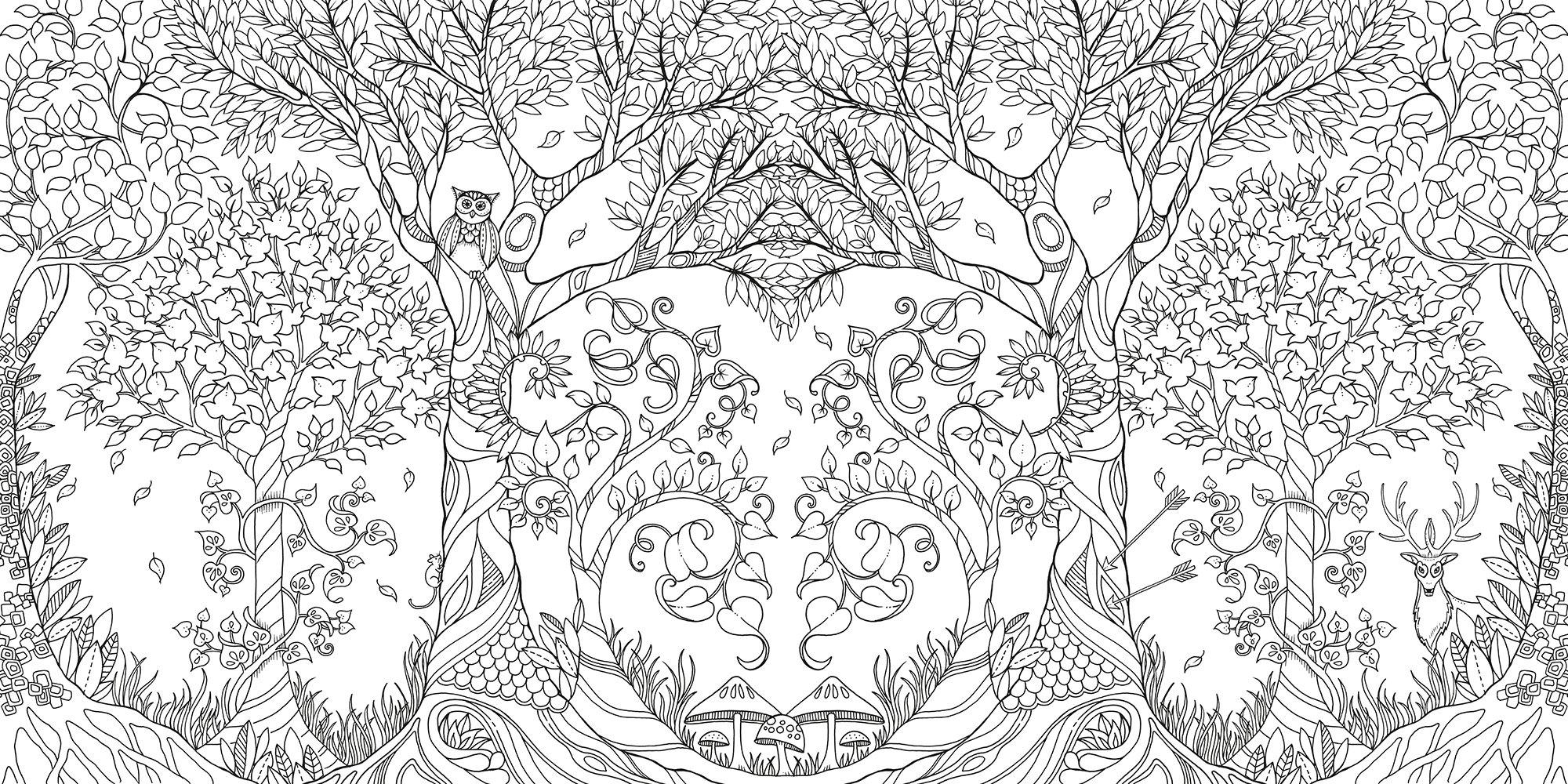An Inky Quest & Coloring Book Enchanted Forest