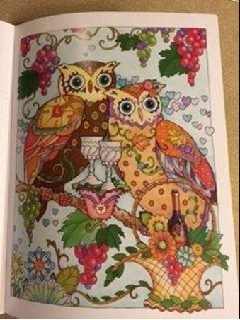 Owls birds coloring pages for adults