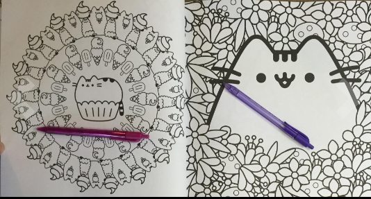 Pusheen the Cat coloring book