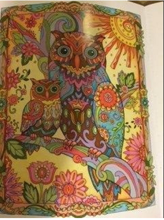 Creative Haven Owls adult coloring book