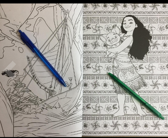 Disney Moana adult coloring book