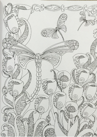 Dragonfly coloring pages for adults