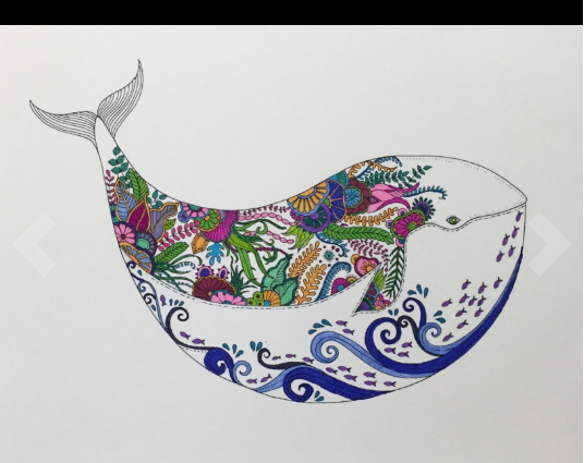 Whale fish ocean adult coloring pages