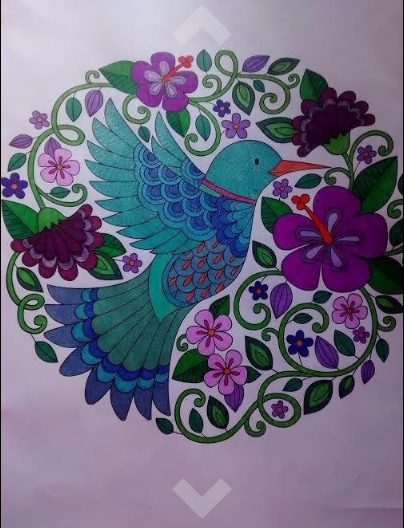Notebook Doodles adult coloring book