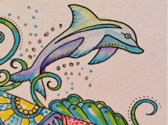 Porpoise dolphin adult coloring pages