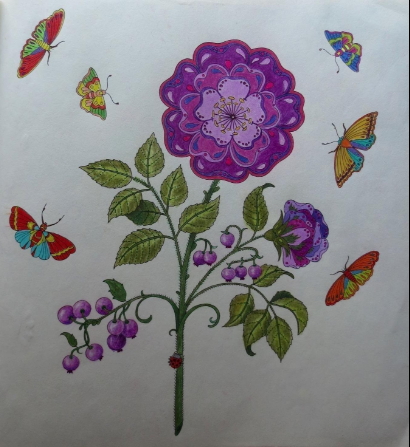 Johanna Basford Secret Garden Adult Coloring Book