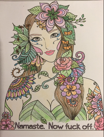 Irreverent Adult Coloring book