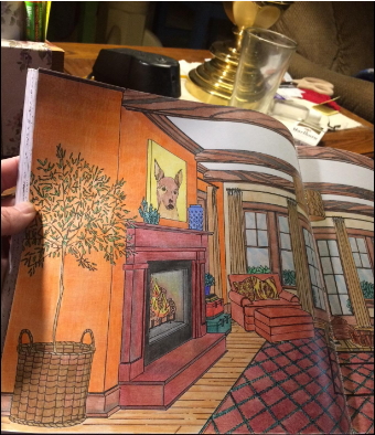 house coloring book