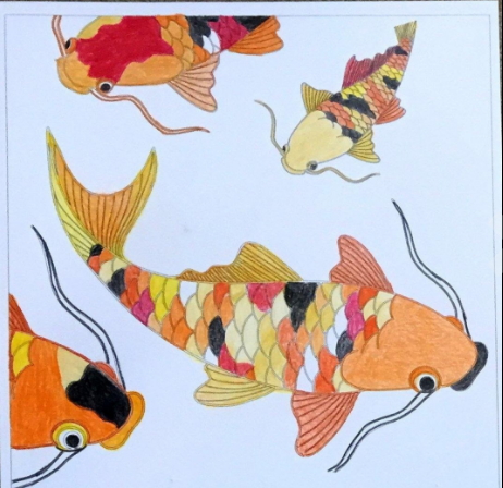 Japanese Koi coloring page