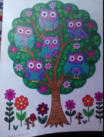 owls coloring book for adults