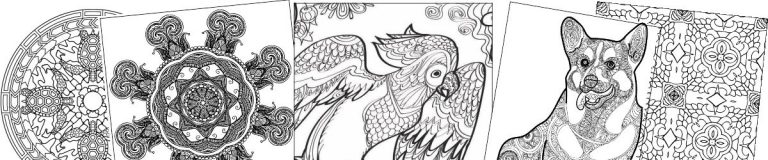 Coloring Book Club - Adult Coloring Book ClubAdult Coloring Book Club