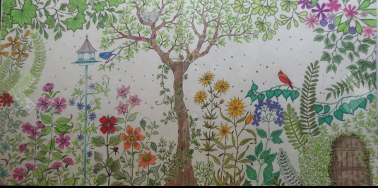 Garden coloring book for adults