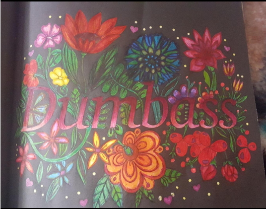 advanced swear words coloring book for adults