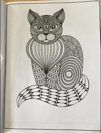 anti stress coloring book with beautiful kitties