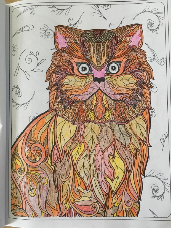 cat coloring book