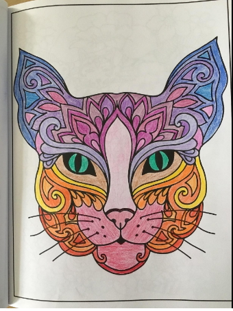 stylish cat coloring pages for adults