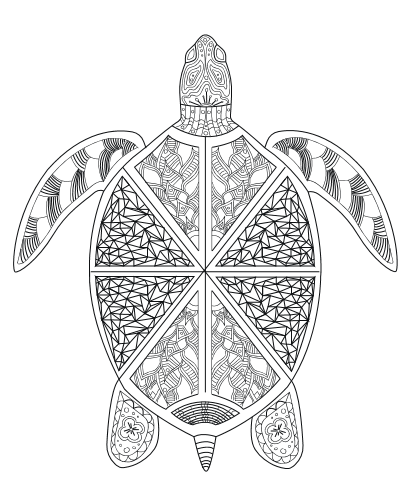 sea turtle printable adult coloring page